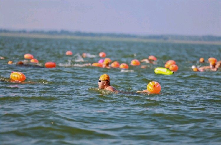 XBbQL, src XBbQL, src