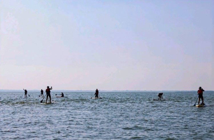 救援大队工, iYa 救援大队工, iYa